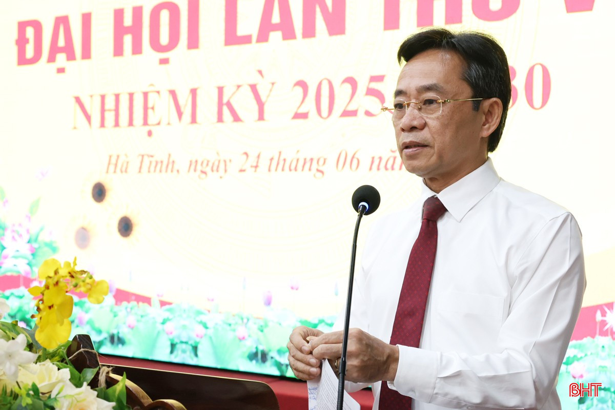 Đồng chí Trần Thế Dũng - Phó Bí thư Thường trực Tỉnh ủy, Bí thư Đảng ủy Các cơ quan Đảng tỉnh phát biểu chỉ đạo. bqbht_br_img-1937.jpg