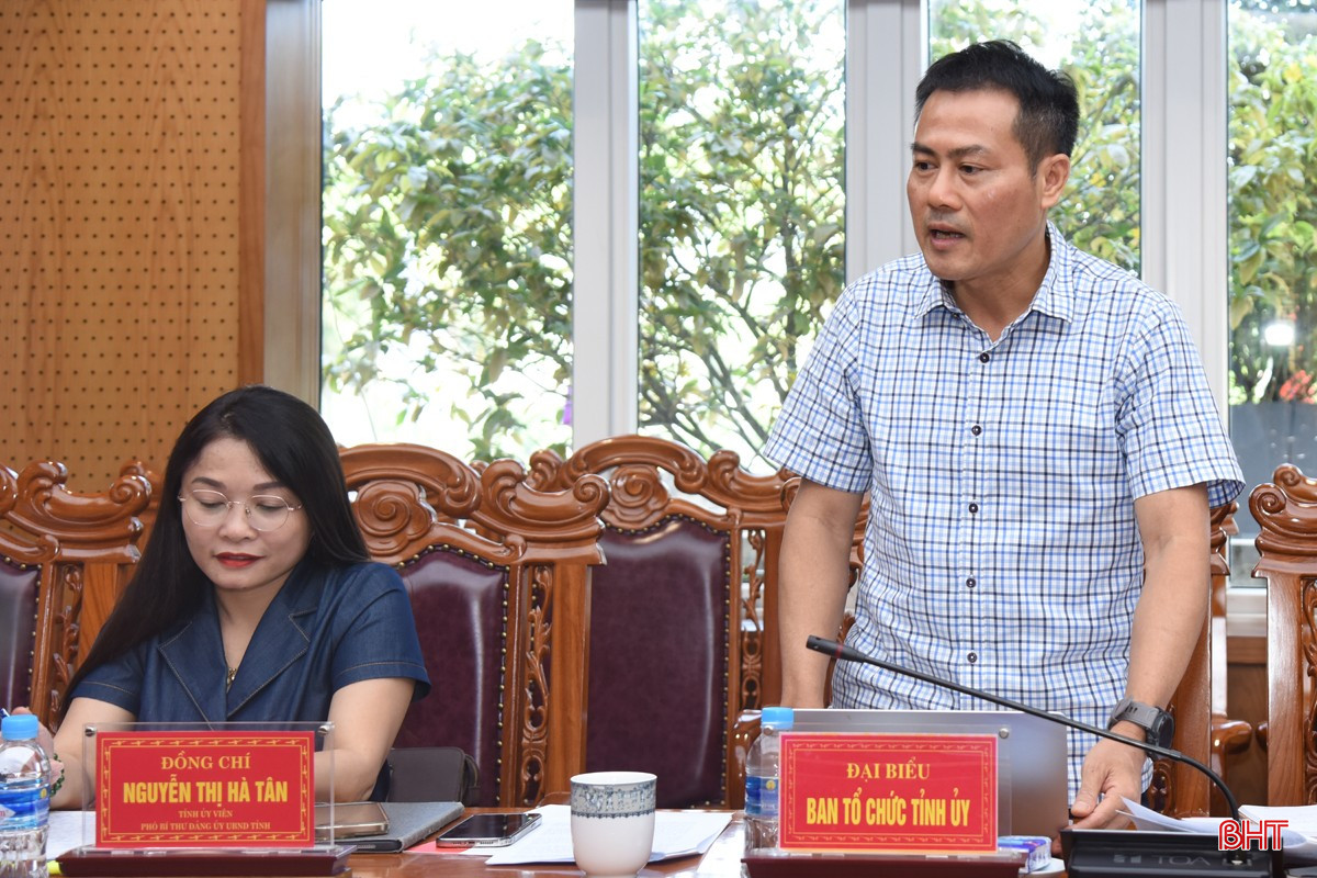 Phó Trưởng ban Tổ chức Tỉnh ủy Trần Đình Trung phát biểu tại buổi làm việc. bqbht_br_dsc-8749.jpg