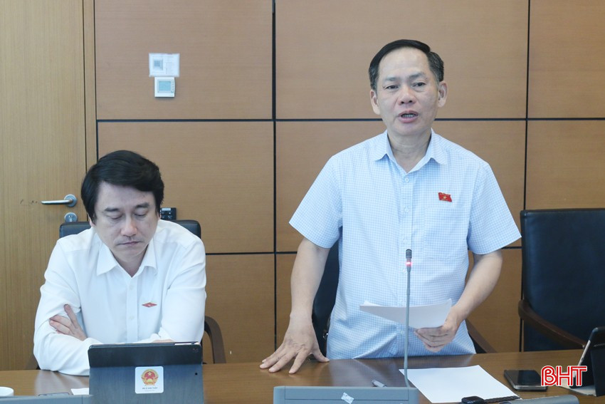 Phó Trưởng đoàn chuyên trách ĐBQH tỉnh Trần Đình Gia đề nghị rà soát, đảm bảo thống nhất về quy định xử phạt hành chính giữa Luật Thanh tra và Luật Xử lý vi phạm hành chính. bqbht_br_2trandinhgiachieu85.jpg