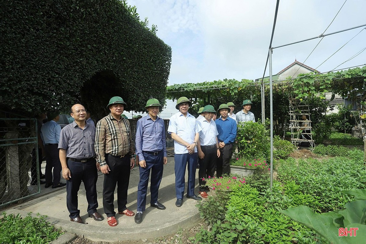 Chủ tịch UBND tỉnh Võ Trọng Hải và Phó Chủ tịch Thường trực UBND tỉnh Nguyễn Hồng Lĩnh kiểm tra, chỉ đạo sản xuất, xây dựng NTM ở Đức Thọ (tháng 5/2025). bqbht_br_l3.jpg