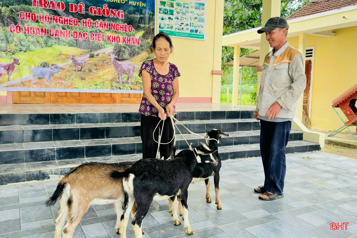 Người dân khó khăn được nhận dê giống để tạo sinh kế. (Ảnh tư liệu). bqbht_br_nguoi-dan-kho-khan-duoc-nhan-de-giong-de-tao-sinh-ke-anh-tu-lieu.jpg