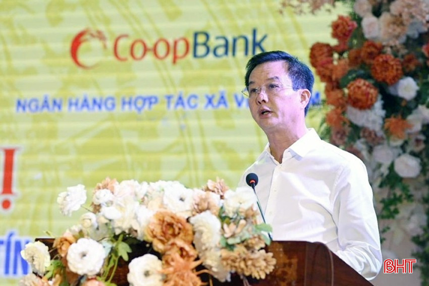Phó Chủ tịch UBND tỉnh Hà Tĩnh Trần Báu Hà phát biểu tại hội nghị. bqbht_br_1234.jpg