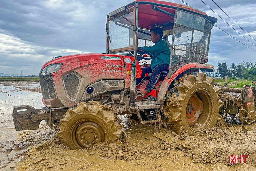 Localities need to coordinate in receiving water and regulating internal water suitable for summer-autumn crop preparation after the end of the spring harvest. bqbht_br_z5486779643321-bb612d47228e9e241646b65035be99ea-8131.jpg