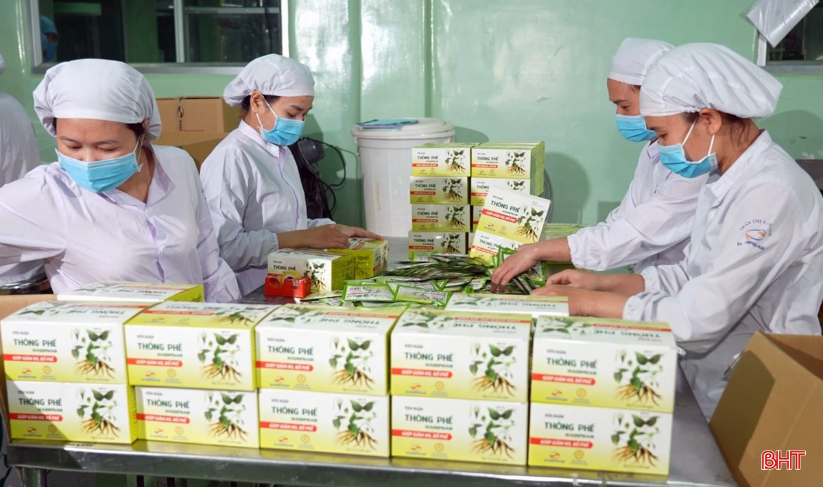 Người lao động công ty được chăm lo chế độ chính sách đầy đủ theo quy định của pháp luật. bqbht_br_sdfsdfsdf.jpg