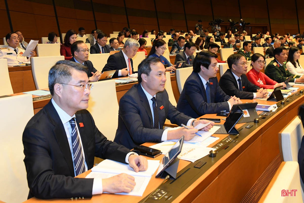 Đoàn ĐBQH tỉnh tham dự phiên khai mạc. bqbht_br_2anhdoanhatinh2.jpg