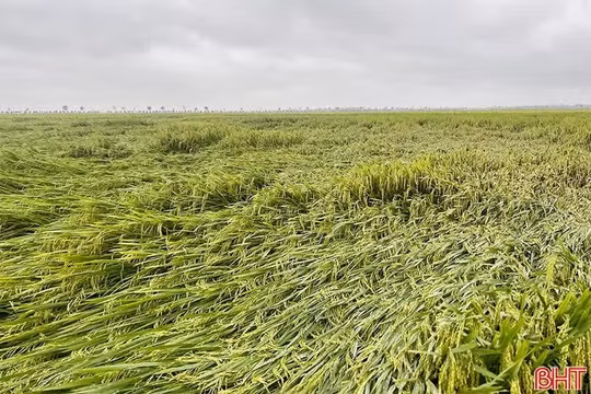Cảnh báo giông, lốc, mưa đá và gió giật mạnh ở Hà Tĩnh 