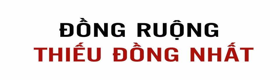 Tập trung, tích tụ ruộng đất - kiến tạo nền nông nghiệp hiện đại, bền vững (Bài 2): Những “nút thắt” cần tháo gỡ