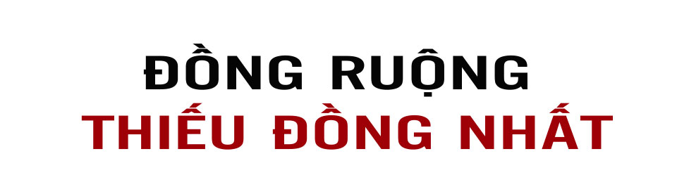 Tập trung, tích tụ ruộng đất - kiến tạo nền nông nghiệp hiện đại, bền vững (Bài 2): Những “nút thắt” cần tháo gỡ ảnh 4 Tập trung, tích tụ ruộng đất - kiến tạo nền nông nghiệp hiện đại, bền vững (Bài 2): Những “nút thắt” cần tháo gỡ