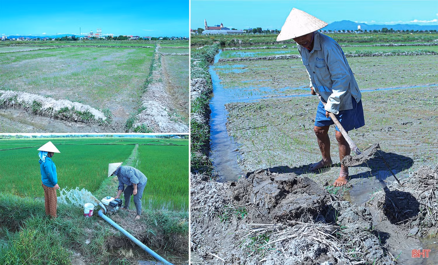 Tập trung, tích tụ ruộng đất - kiến tạo nền nông nghiệp hiện đại, bền vững (Bài 2): Những “nút thắt” cần tháo gỡ
