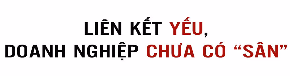 Tập trung, tích tụ ruộng đất - kiến tạo nền nông nghiệp hiện đại, bền vững (Bài 2): Những “nút thắt” cần tháo gỡ