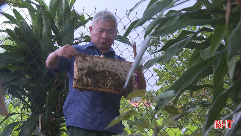 Ông Nguyễn Văn Dũng xã Vũ Quang kiểm tra cầu mật. bqbht_br_a2.jpg