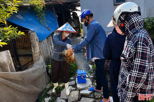 Kiểm soát chặt chẽ, không chủ quan với dịch cúm gia cầm