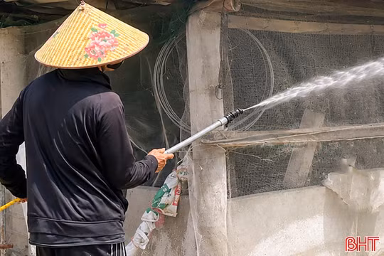 "Lá chắn sinh học" trước dịch tả lợn châu Phi