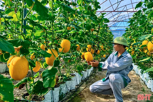 Ứng dụng khoa học - công nghệ tạo đột phá trong xây dựng nông thôn mới
