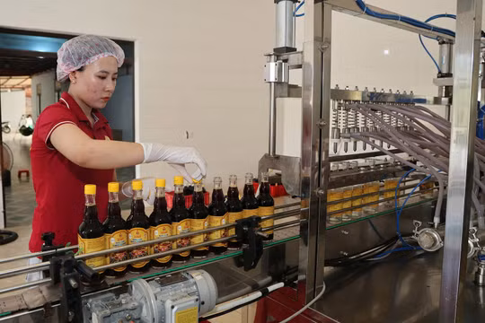 Ứng dụng khoa học, công nghệ "nâng tầm" sản phẩm OCOP Hà Tĩnh