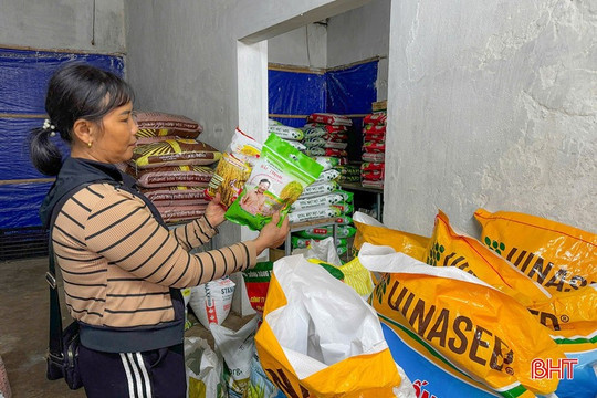 Hà Tĩnh siết chặt công tác quản lý cung ứng giống lúa