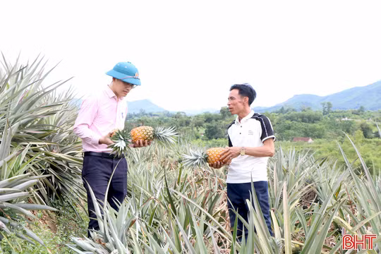 Tăng nguồn vốn địa phương cho tín dụng chính sách - Khơi thông nguồn lực phát triển