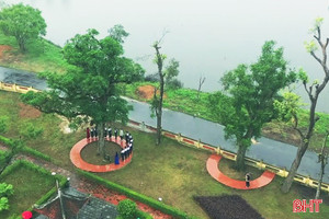 Chuyện những cây cổ thụ trong quần thể di tích quốc gia đặc biệt