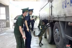 Lực lượng biên phòng đấu tranh 51 chuyên án, bắt giữ 5.690 vụ trong đợt ra quân cao điểm