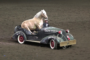 Năm ngựa nói chuyện mã lực - thuật ngữ 'bất tử' trong ngành ôtô