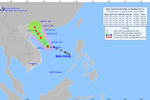 Áp thấp nhiệt đới thành bão số 2, gió giật cấp 10
