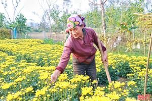 Thời tiết Hà Tĩnh dịp Tết Bính Ngọ thế nào?