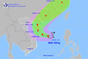 Việt Nam đón cơn bão đầu tiên trong năm