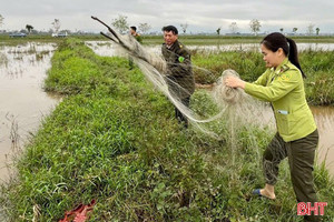 Tháo dỡ, tiêu hủy gần 70.000 phương tiện, dụng cụ bẫy bắt chim trời