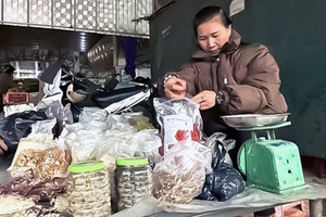 Thuốc nam tràn chợ, rủi ro... vào nhà!