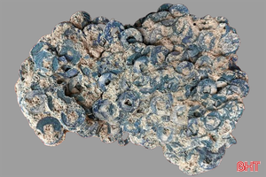 Phát hiện lượng lớn tiền cổ ở xã miền núi Hà Tĩnh