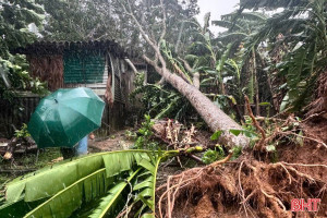 Hình ảnh thiệt hại bước đầu do bão số 5 ở Hà Tĩnh