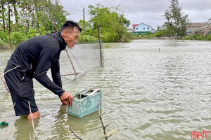 Nhiều người vẫn liều mình bắt cá giữa mưa bão