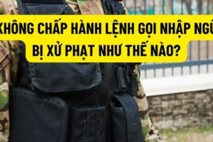 Không chấp hành lệnh gọi nhập ngũ, bị xử phạt 62,5 triệu đồng