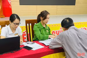 Lập biên bản xử phạt 4 hộ phun thuốc BVTV gây ảnh hưởng môi trường