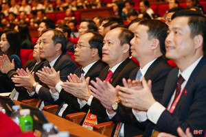 Đoàn đại biểu Hà Tĩnh tại phiên thảo luận các văn kiện Đại hội XIV của Đảng