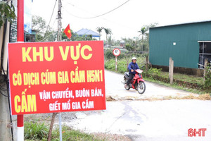 Ráo riết phòng chống dịch cúm gia cầm H5N1 từ “ổ dịch” Cẩm Xuyên