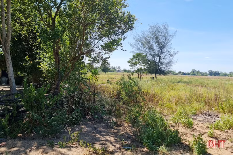 Gần 20 năm có bìa đỏ nhưng không được giao đất: Cần sự vào cuộc quyết liệt, “thấu lý, đạt tình”!