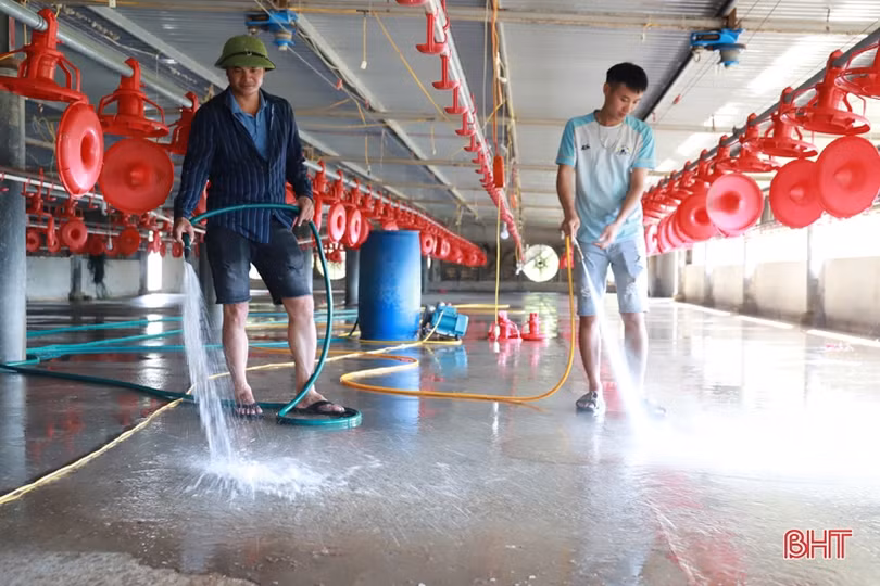 Khám phá trại nuôi gà quy mô hơn 3 tỷ đồng ở huyện miền núi Hà Tĩnh