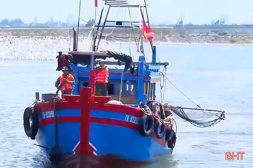 Xử phạt 85 triệu đồng với 4 chủ tàu cá khai thác trái phép