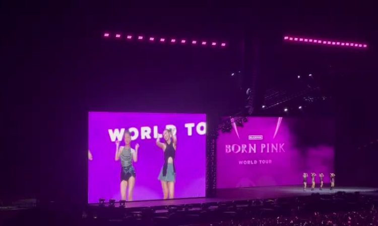 Blackpink nói tiếng Việt, đội nón lá, nhảy “See Tình”