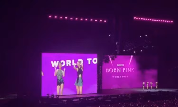 Blackpink nói tiếng Việt, đội nón lá, nhảy “See Tình”