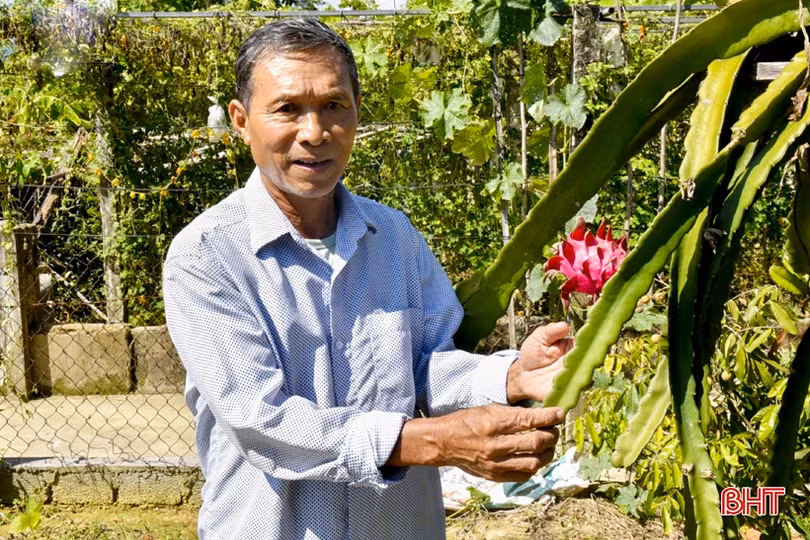 Tiếp tục thực hiện tốt chính sách ưu đãi người có công với cách mạng