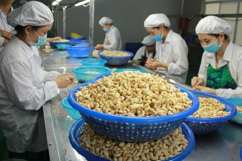 4 doanh nghiệp nguy cơ mất trắng lô hàng hơn nửa triệu USD khi xuất vào UAE