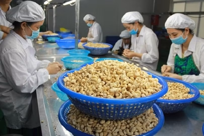 4 doanh nghiệp nguy cơ mất trắng lô hàng hơn nửa triệu USD khi xuất vào UAE