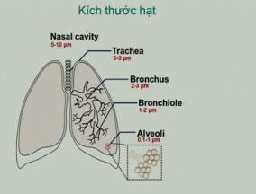 Trẻ bị hen, khò khè có nên dùng khí dung?