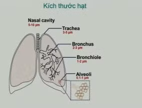 Trẻ bị hen, khò khè có nên dùng khí dung?