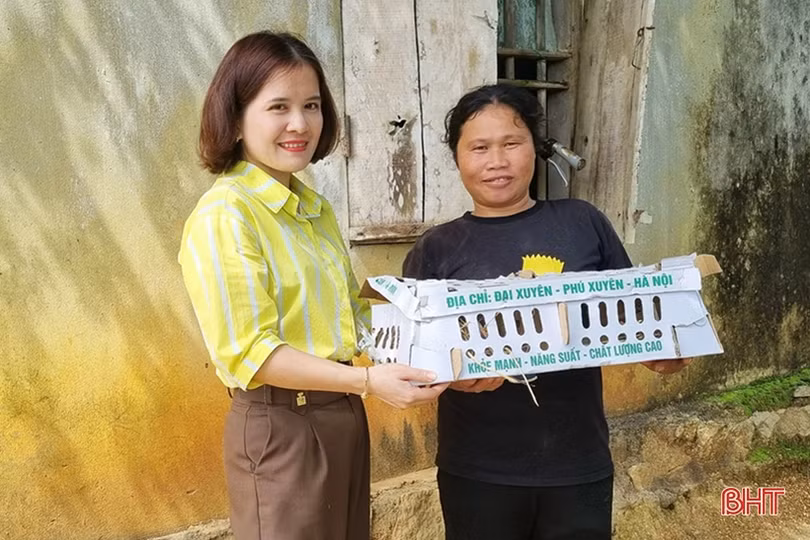 “Tiếp sức” người dân miền núi Hà Tĩnh ổn định cuộc sống