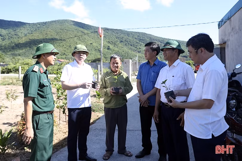 Xây dựng “vé thông hành” cho cây mai vàng Kỳ Nam