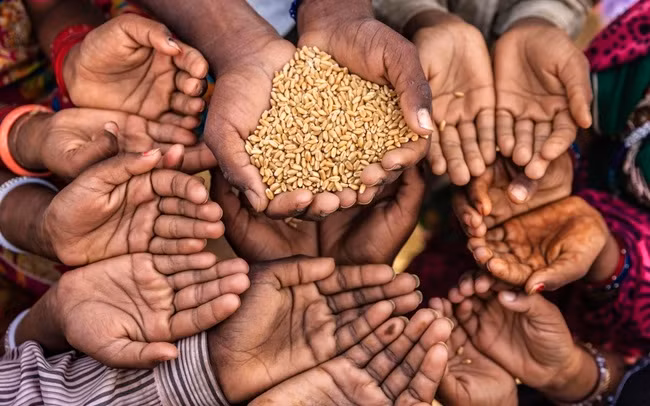 Cạn kiệt nguồn tiền, LHQ ngừng viện trợ lương thực cho hàng triệu người