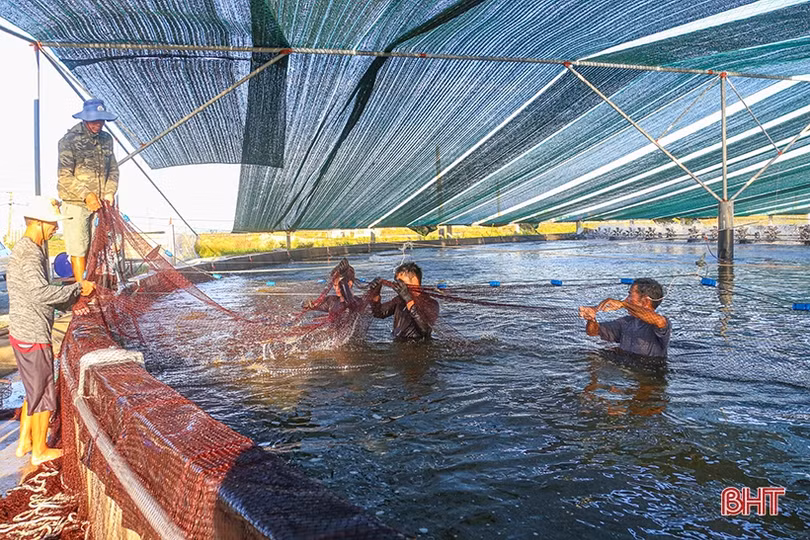Hà Tĩnh triển khai gói tín dụng 15.000 tỷ đồng lĩnh vực lâm - thủy sản
